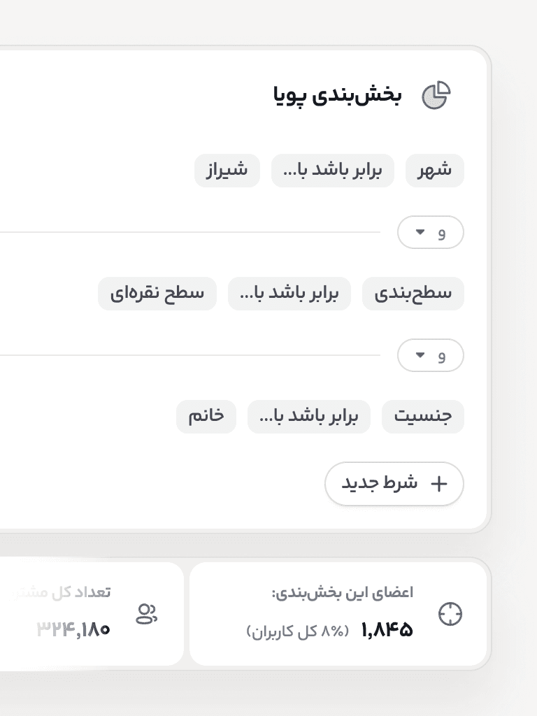 نمای بخش مشتریان پویا برای دستهبندی لیدهای کمپین