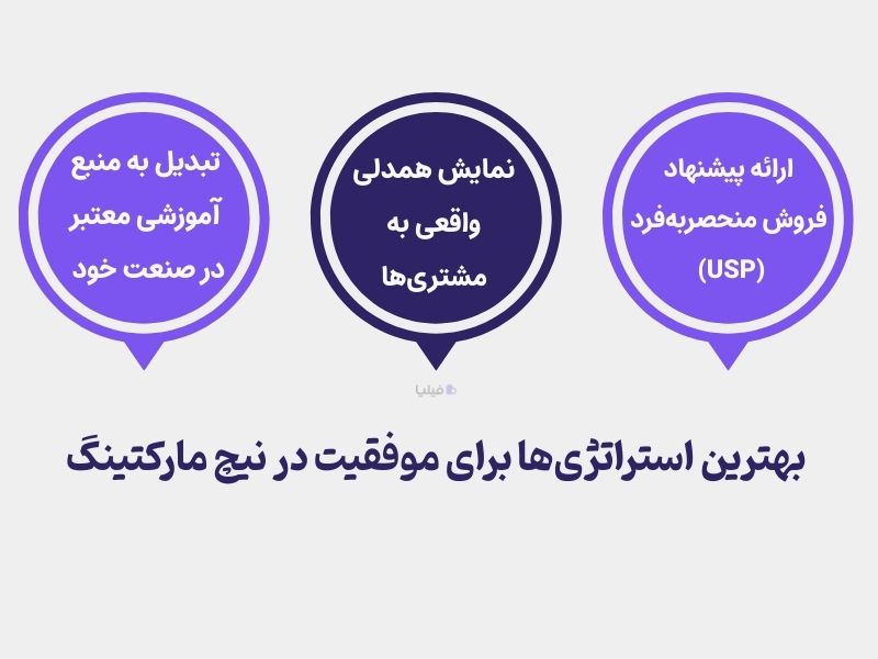 استراتژی‌های کلیدی برای موفقیت در نیچ مارکتینگ