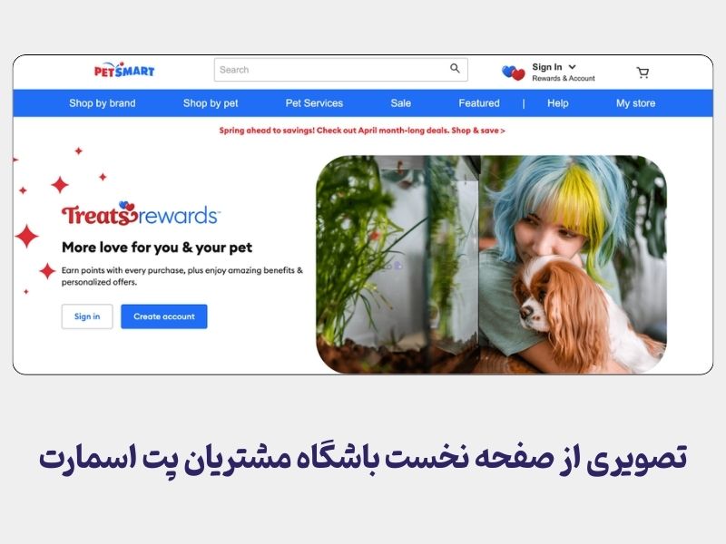 فضای برنامه وفاداری Treats Rewards