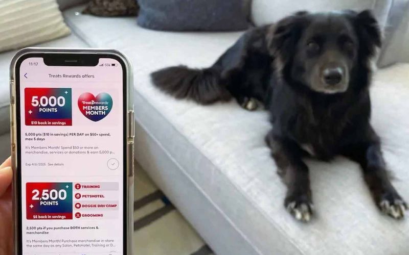 اپلیکیشن موبایل برنامه وفاداری Treats Rewards