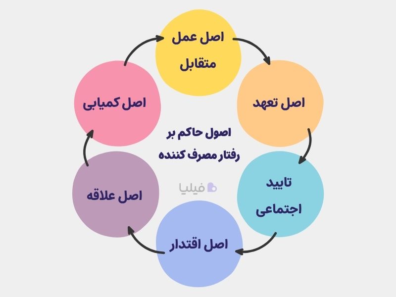 اصول حاکم بر رفتار مصرف کننده